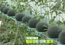 농식품부 장관 “수직농장, 농업의 새로운 미래…맞춤형 지원하겠다”