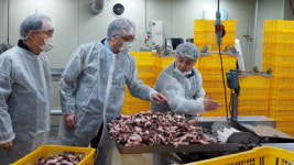 안전보건공단 이사장, 중소사업장「산업안전 대진단」현장 점검 맞춤형 안전보건관리체계 구축 당부