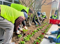 망미2동 봄맞이 초화식재 및 환경정비 실시