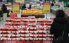 유통업계 과일값 안정 총력전…체리·키위·망고스틴 늘려