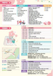 부산 강서구, 제7회 강서낙동강30리 벚꽃축제 개최