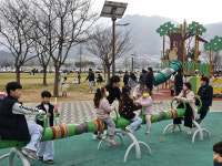 [포토뉴스]수변공원인 양산 황산공원에 캠핑 꽃이 피었습니다.