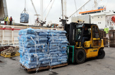 원양 오징어 초도물량 1만 5000t 풀린다…부산 감천항서 하역작업