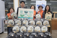 봉래1동, 건강만점 콩나물 새싹 채소 키우기 사업 추진