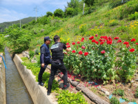 경남경찰, ‘안전드림 324 드론순찰대’ 제 몫 톡톡