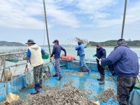 한국수산자원공단 서해본부, 안산시 고소득 패류종패 방류…지역경제 활성화 기대