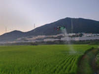기장군, ‘벼 병해충 드론 방제’ 시행