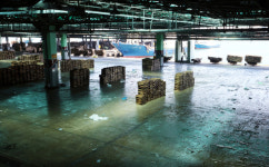 무리한 중개로 20억 손실… 수사선상 오른 공동어시장