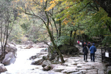 찬 공기에 ‘쌀쌀’… 올가을 최저기온