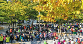 단풍 아래 사랑의 무료급식