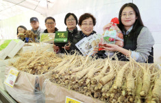 [포토뉴스] 경북 영주 특산물
