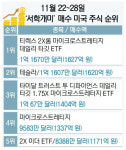 테슬라·엔비디아 아닌 ‘서학개미’의 선택은?