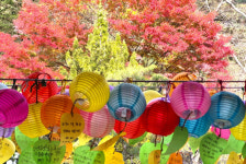 계곡 산길에서 평화로운 트레킹…기체조‧사진 체험까지