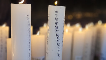 [포토뉴스] 제주항공 참사 희생자 기리는 소망초