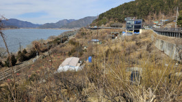 원동 매화 축제 개최 코 앞인데.…매화 피지 않아 비상