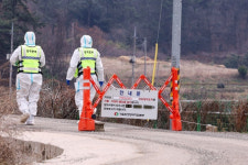 구제역 영암·무안서 확산…한우농장서 5곳 발생