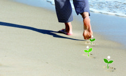 [밀물썰물] 임랑해수욕장과 어싱