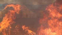 의성 산불 안동으로 확산…산림당국 강풍에 길안면 덮쳐