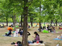 부산시설공단, 부산시민공원서 ‘잔디밭 도서관’ 개최