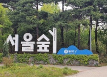 서울숲에 불 지르고 도주한 외국인 관광객들…경찰, 긴급체포해 조사