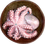 7월의 수산물에 여름 보양식 붕장어·문어…여행지는 무창포·전곡리마을’