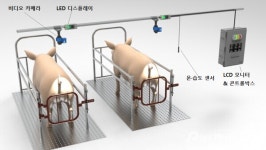 “축산에 AI 활용”…경남도, 6곳에 양돈 번식관리 시스템 보급