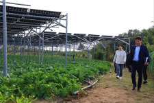 송미령 “영농형 태양광 최선의 방안 마련하겠다”…실증단지 찾아 간담회