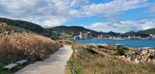 해운대·송도·시민공원·온천천…부산은 러닝 천국