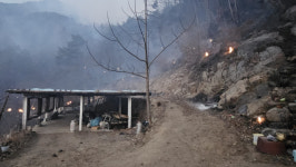 다시 번지는 함양 산불…마을까지 인접해 주민 134명 대피