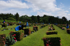 “유엔기념공원 지킨 15년” 유엔평화봉사단, 국제관리위 감사장 받아