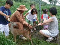 노루생태관찰원 생태체험관광명소 부상