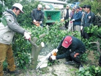 영천동 주민센터 등 감귤원 간벌 발대식 개최