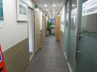 사고력과 창의력의 보고, 마인드 맵 수학