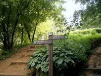 강남 주민들의 휴식공간 대모산(293m)과 구룡산(306m)