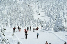 기빙트리 TK GYM - 겨울방학 스키캠프 안내