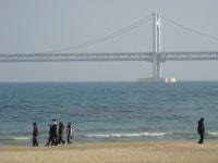 남천동~수영교 해안 자전거 길 완공