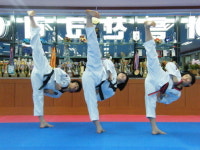 태권도 품새 잘해도 대학 간다