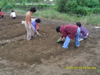 건강한 녹색의 꿈을 찾아라!