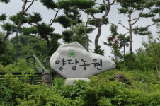 Enjoy Local - 용인 학일마을 ‘양달농원·펜션’