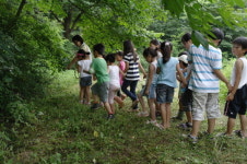 Enjoy Local - 용인 학일마을 ‘양달농원·펜션’