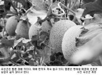 [전남 친환경농업 현장을 가다] ④ 곡성군