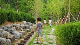 구미시 산동참생태숲 산림휴식 문화체험 공간으로 탈바꿈