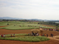 파란 하늘 아래 가을 들녘에 하얀 팝콘이 피었습니다!