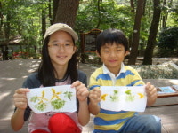 초읍어린이대공원 나비생태학습장 개장