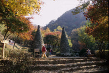 가을...산 호수 길 미술관