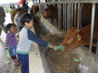 한방과 유기농의 고장에서 웰빙지수 ‘Up’