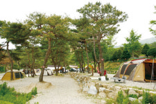 평창 ‘붓꽃섬’ 잣나무숲에 나만의 별장 짓는다