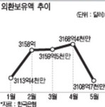 외환보유액 올들어 첫 감소