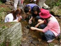 화명수목원, 숲 체험 교실 운영