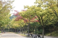 아이들과 마음껏 뛰놀 수 있는 피크닉장소, 울산대공원